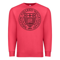 Cardinal Wellesley College Premium Sweatshirt - linhVisuals