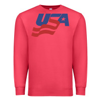 Cardinal usa hockey simple Premium Sweatshirt - linhVisuals