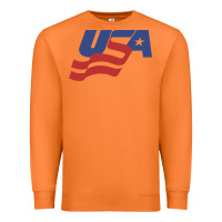 Carrot usa hockey simple Premium Sweatshirt - linhVisuals
