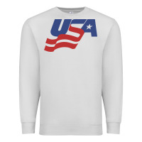 Dove Grey usa hockey simple Premium Sweatshirt - linhVisuals