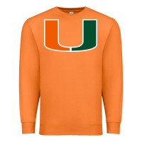 Carrot miami hurric Premium Sweatshirt - linhVisuals