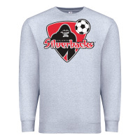 Heather Grey atlanta silverbacks Premium Sweatshirt - linhVisuals