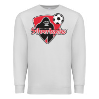 Dove Grey atlanta silverbacks Premium Sweatshirt - linhVisuals