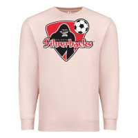 Pale Pink atlanta silverbacks Premium Sweatshirt - linhVisuals