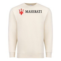 Sandshell masearti car essential Premium Sweatshirt - linhVisuals