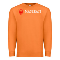 Carrot masearti car essential Premium Sweatshirt - linhVisuals
