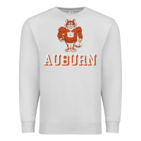 Dove Grey auburn tigers 02 Premium Sweatshirt - linhVisuals