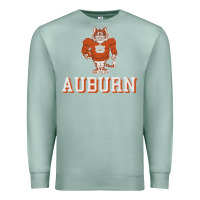 Seafoam auburn tigers 02 Premium Sweatshirt - linhVisuals