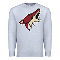 Heather Grey the-coyotes-of-arizona-sporst Premium Sweatshirt - linhVisuals