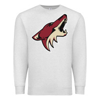 Oatmeal Heather the-coyotes-of-arizona-sporst Premium Sweatshirt - linhVisuals