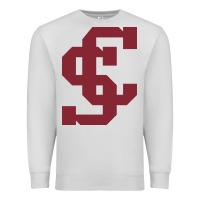 Dove Grey santa clara br Premium Sweatshirt - linhVisuals