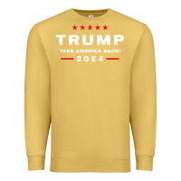 Antique Gold donald trump 2024 take america back election   the return sweatshirt Premium Sweatshirt - linhVisuals