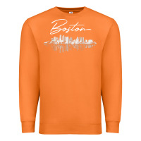 Carrot boston skyline t shirt for women, men, girls & boys Premium Sweatshirt - linhVisuals