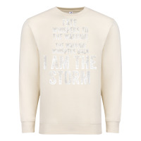 Sandshell fate whispers to warrior i am the storm quote gritty fighter t shirt Premium Sweatshirt - linhVisuals
