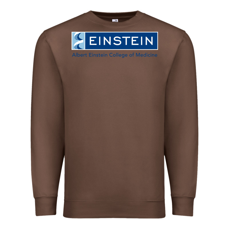 Albert Einstein College Of Medicine Premium Sweatshirt by linhVisuals | Teevron