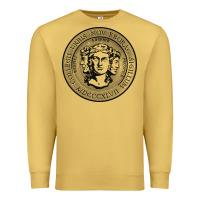 City College Of New York Seal Premium Sweatshirt | Teevron
