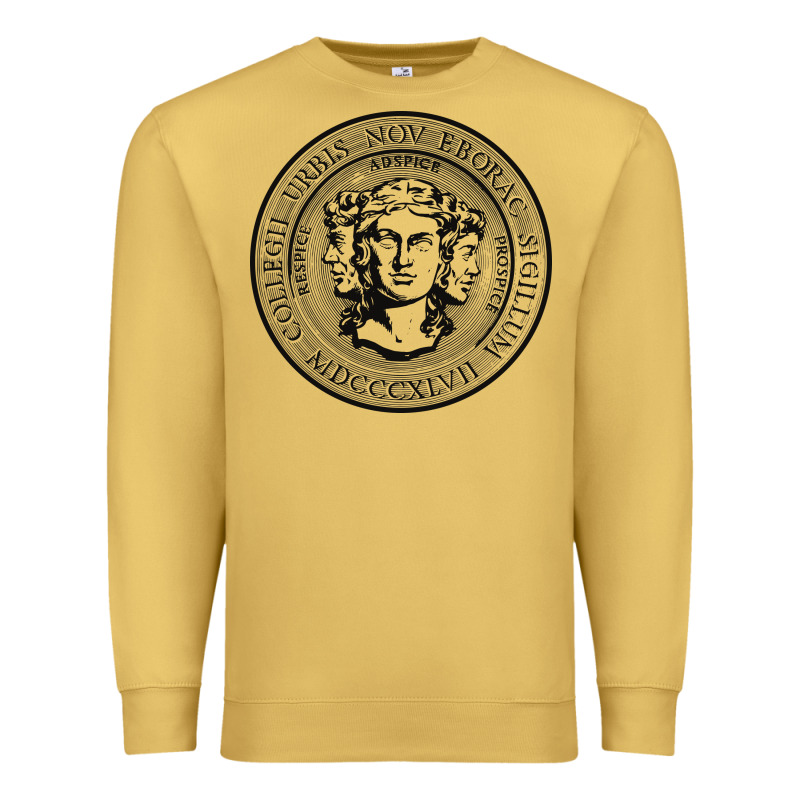 City College Of New York Seal Premium Sweatshirt by linhVisuals | Teevron