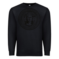 Black city college of new york seal Premium Sweatshirt - linhVisuals