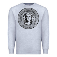 Heather Grey city college of new york seal Premium Sweatshirt - linhVisuals