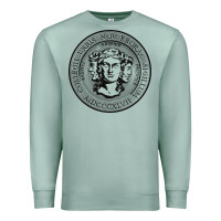 Seafoam city college of new york seal Premium Sweatshirt - linhVisuals