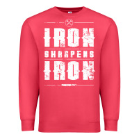 Cardinal iron sharpens iron proverbs christian bible verse religious pullover h Premium Sweatshirt - linhVisuals