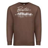 Chestnut boston skyline t shirt for women, men, girls & boys Premium Sweatshirt - linhVisuals