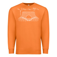 Carrot einstein’s field equations science geek gift idea math lover t shirt Premium Sweatshirt - linhVisuals