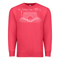 Cardinal einstein’s field equations science geek gift idea math lover t shirt Premium Sweatshirt - linhVisuals