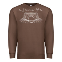 Chestnut einstein’s field equations science geek gift idea math lover t shirt Premium Sweatshirt - linhVisuals