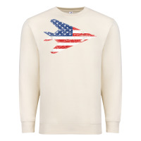 Sandshell f 117 stealth nighthawk aircraft american flag f117 t shirt Premium Sweatshirt - linhVisuals