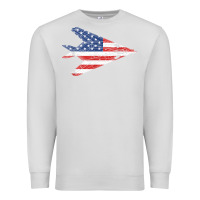 Dove Grey f 117 stealth nighthawk aircraft american flag f117 t shirt Premium Sweatshirt - linhVisuals