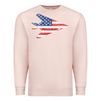 Pale Pink f 117 stealth nighthawk aircraft american flag f117 t shirt Premium Sweatshirt - linhVisuals