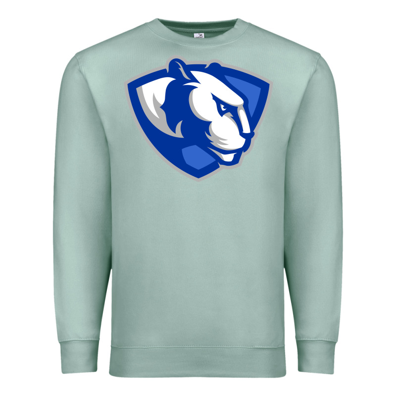 The Eastern Illinois Panthers Premium Sweatshirt by linhVisuals | Teevron