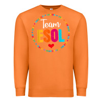 Carrot back to school teachers crew students   team esol teacher t shirt Premium Sweatshirt - linhVisuals