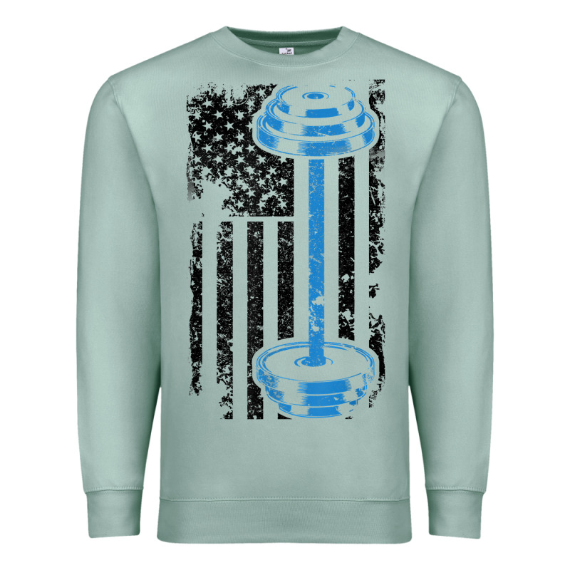 American Flag Gym And Fitness  Weight Lifting Gift T Shirt Premium Sweatshirt by linhVisuals | Teevron