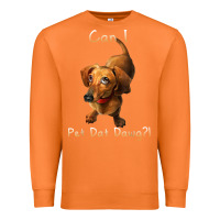Carrot can i pet dat dawg funny dog dachshund lover doxie gift t shirt Premium Sweatshirt - linhVisuals