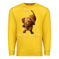 Lemon can i pet dat dawg funny dog dachshund lover doxie gift t shirt Premium Sweatshirt - linhVisuals