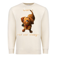 Sandshell can i pet dat dawg funny dog dachshund lover doxie gift t shirt Premium Sweatshirt - linhVisuals