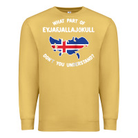 Antique Gold what part of eyjafjallajökull don't you understand raglan baseball te Premium Sweatshirt - linhVisuals