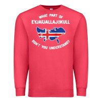 Cardinal what part of eyjafjallajökull don't you understand raglan baseball te Premium Sweatshirt - linhVisuals