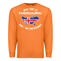 Carrot what part of eyjafjallajökull don't you understand raglan baseball te Premium Sweatshirt - linhVisuals