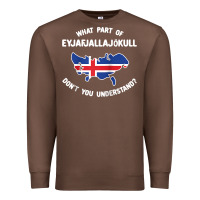 Chestnut what part of eyjafjallajökull don't you understand raglan baseball te Premium Sweatshirt - linhVisuals