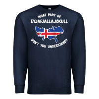 Navy what part of eyjafjallajökull don't you understand raglan baseball te Premium Sweatshirt - linhVisuals