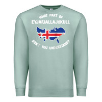 Seafoam what part of eyjafjallajökull don't you understand raglan baseball te Premium Sweatshirt - linhVisuals