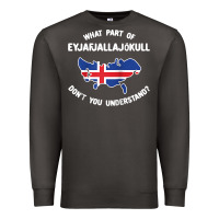 Smoke what part of eyjafjallajökull don't you understand raglan baseball te Premium Sweatshirt - linhVisuals