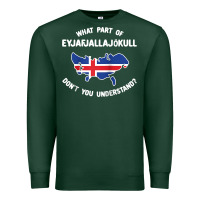 Sports Green what part of eyjafjallajökull don't you understand raglan baseball te Premium Sweatshirt - linhVisuals