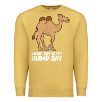 Antique Gold what day is it hump day funny camels hump day t shirt Premium Sweatshirt - linhVisuals