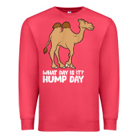Cardinal what day is it hump day funny camels hump day t shirt Premium Sweatshirt - linhVisuals