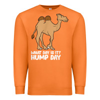 Carrot what day is it hump day funny camels hump day t shirt Premium Sweatshirt - linhVisuals