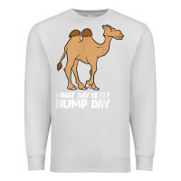 Dove Grey what day is it hump day funny camels hump day t shirt Premium Sweatshirt - linhVisuals
